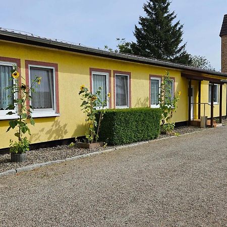 Ferienwohnungen "Zur Schamper Muehle" Gotthun Extérieur photo